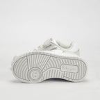 CHAMPION BASKET