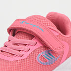 CHAMPION BASKET