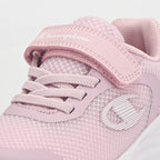 CHAMPION BASKET