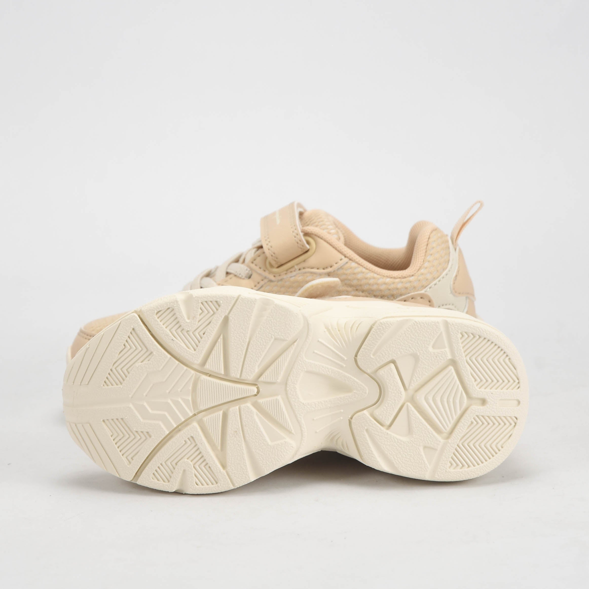 CHAMPION BASKET