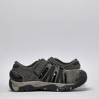 Shaol Bay Sea Turtle-Taupe
