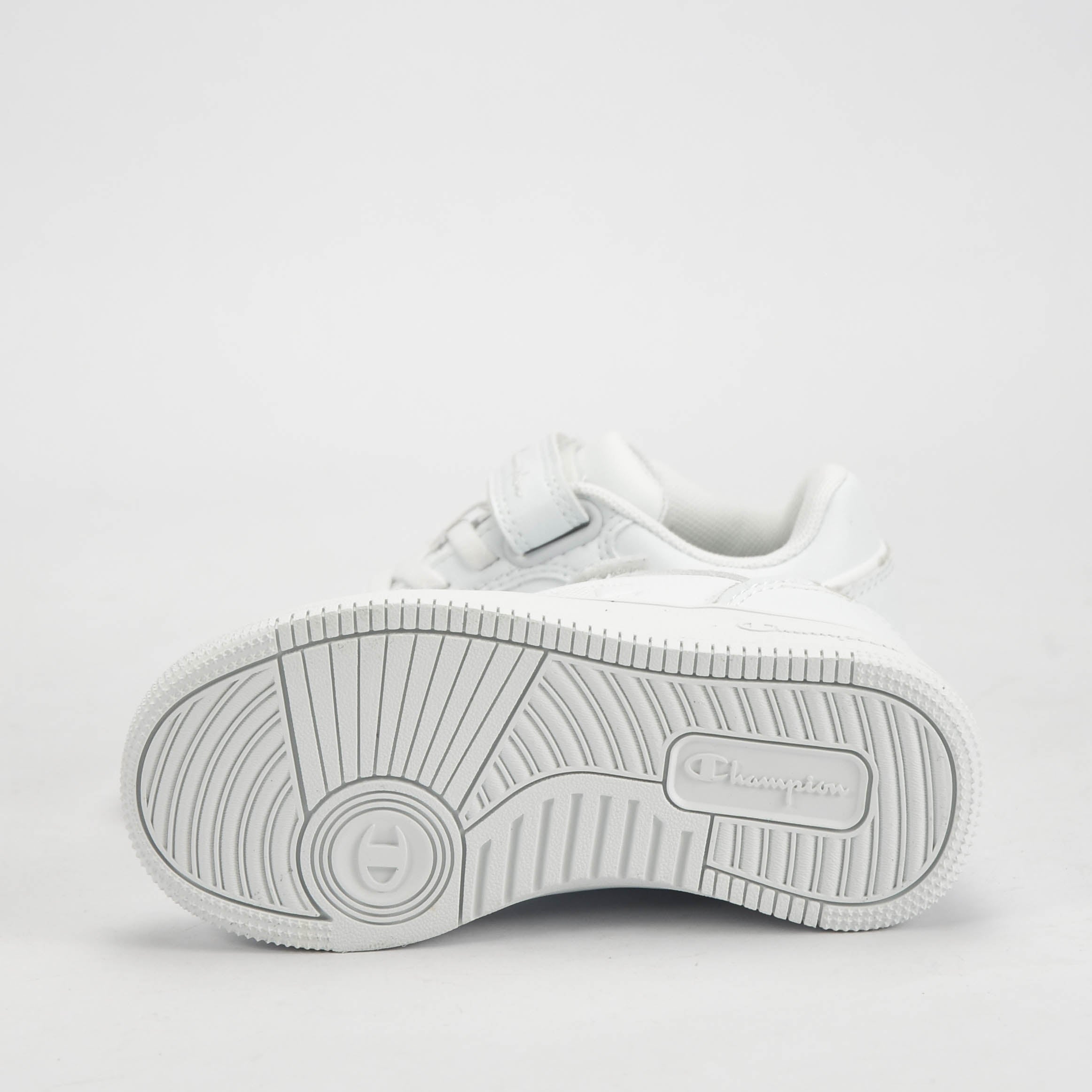 CHAMPION BASKET