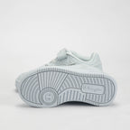 CHAMPION BASKET